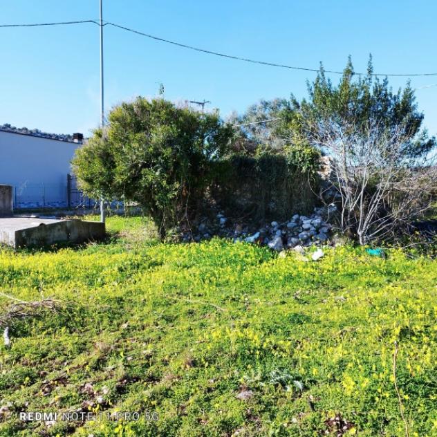 terreno agricolo in vendita a Floridia