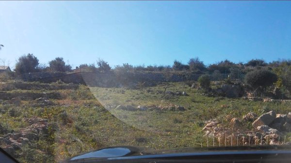 terreno agricolo in vendita a Floridia