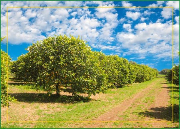casa semindipendente in vendita a Floridia