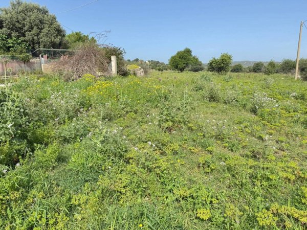 terreno agricolo in vendita a Floridia