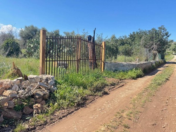 terreno agricolo in vendita a Floridia