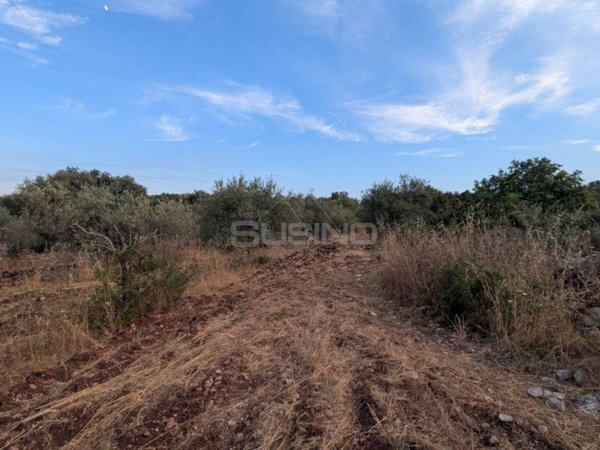 terreno agricolo in vendita a Floridia
