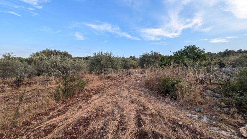terreno agricolo in vendita a Floridia