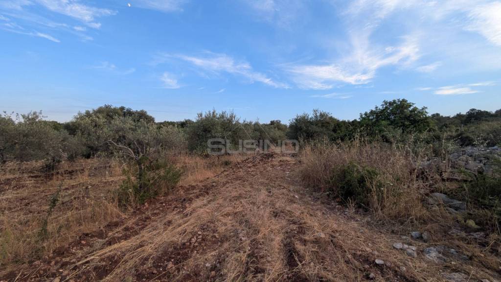 terreno agricolo in vendita a Floridia