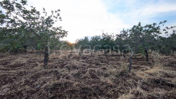 terreno agricolo in vendita a Floridia