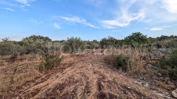 terreno in vendita a Floridia