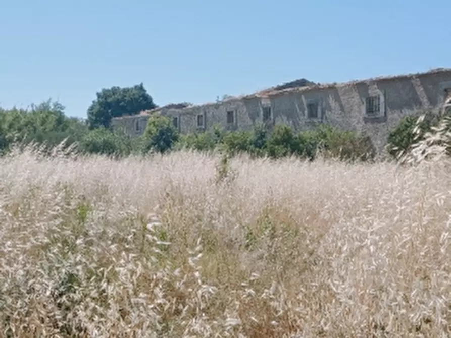 terreno agricolo in vendita a Floridia