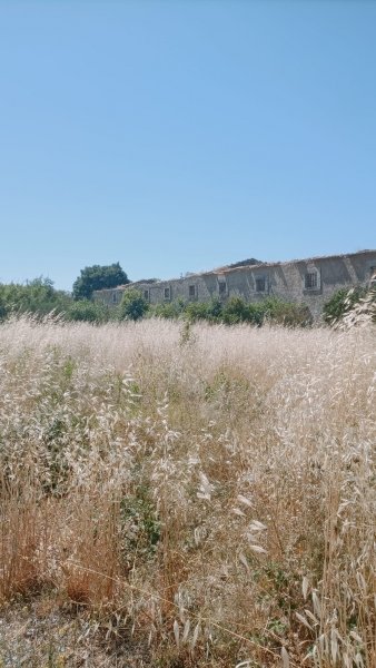 terreno agricolo in vendita a Floridia