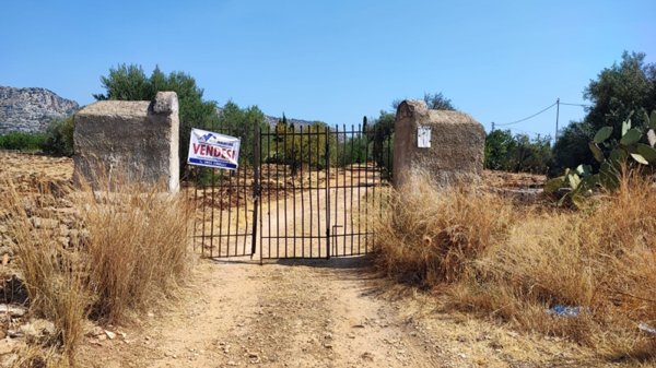 terreno in vendita a Floridia