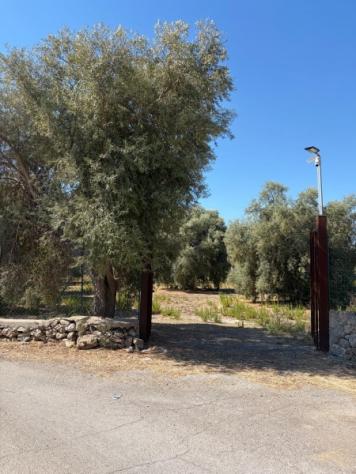 terreno agricolo in vendita a Floridia