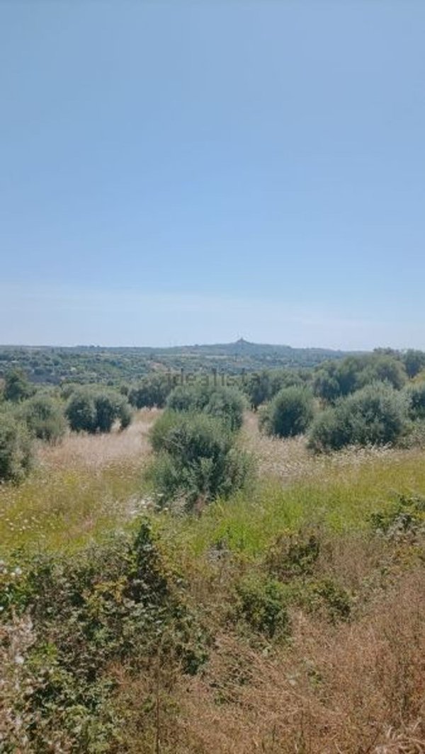terreno agricolo in vendita a Floridia