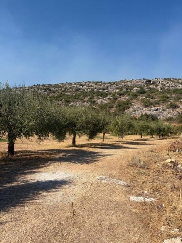terreno agricolo in vendita a Floridia