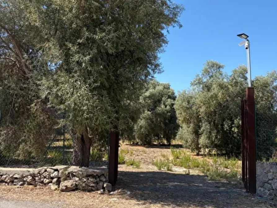terreno agricolo in vendita a Floridia