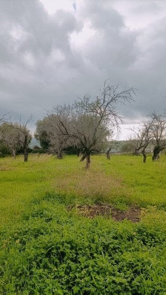 casa indipendente in vendita a Floridia
