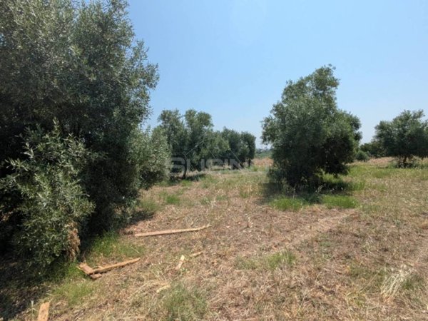terreno in vendita a Floridia