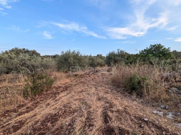 terreno in vendita a Floridia