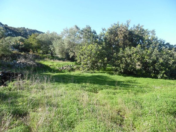 terreno in vendita a Floridia