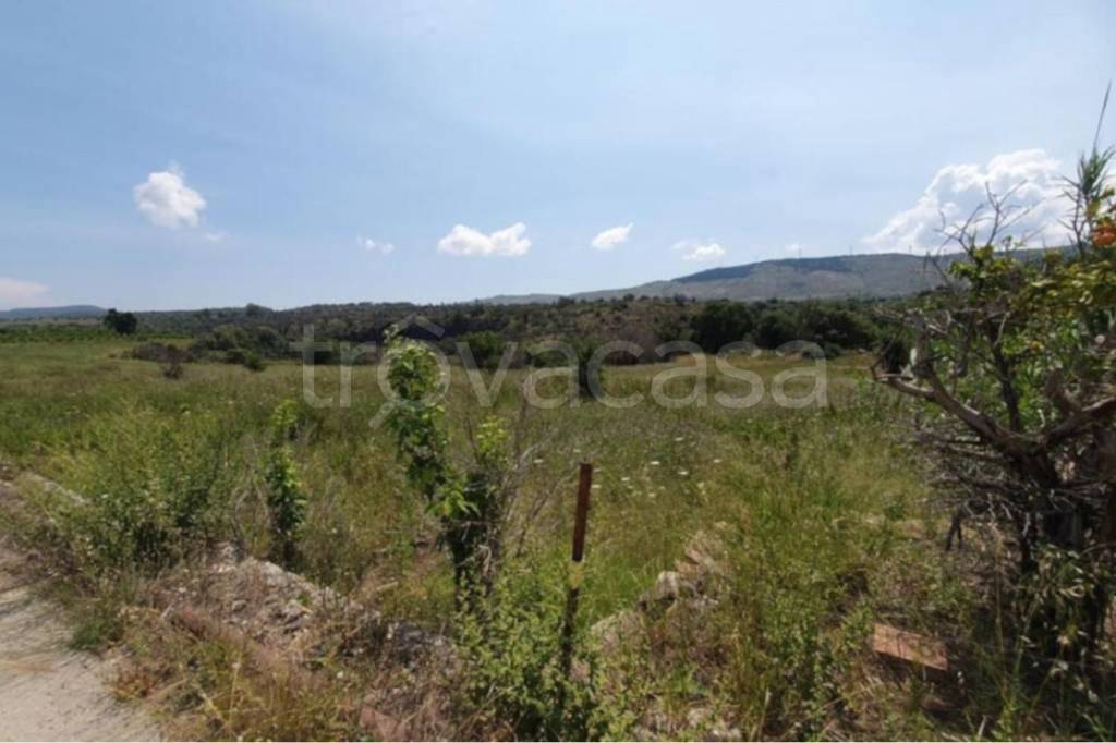 terreno agricolo in vendita a Francofonte