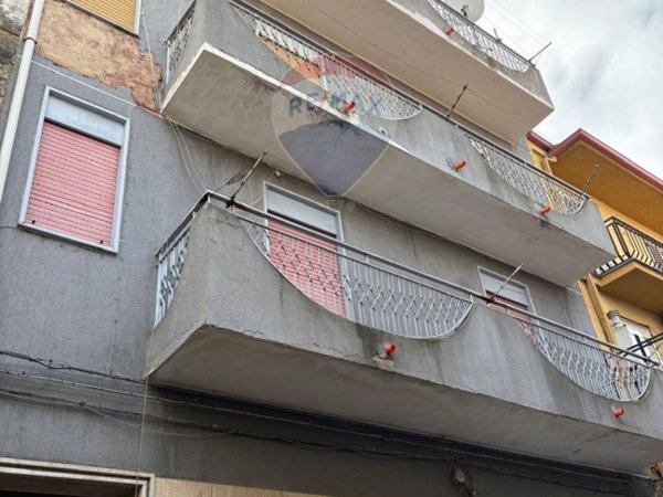 immagine annuncio 0 di 15