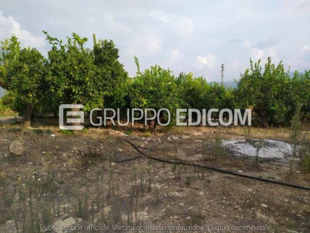 terreno agricolo in vendita a Francofonte