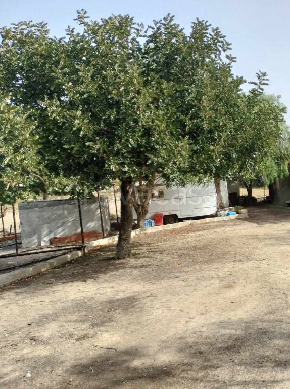 terreno agricolo in vendita a Francofonte