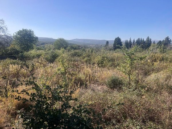 terreno agricolo in vendita a Francofonte