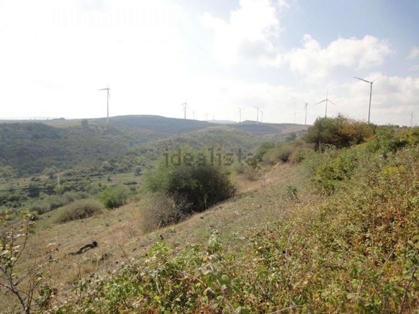 terreno agricolo in vendita a Francofonte
