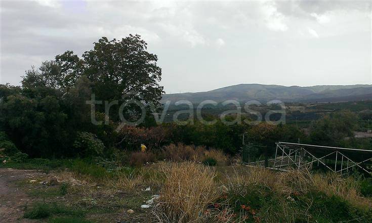 terreno agricolo in vendita a Francofonte