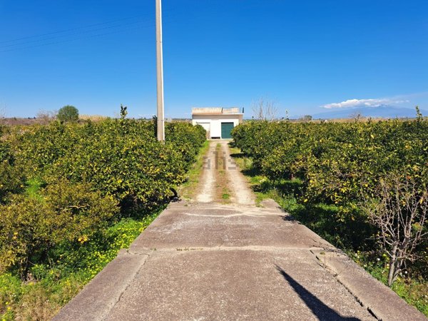 casa indipendente in vendita a Francofonte