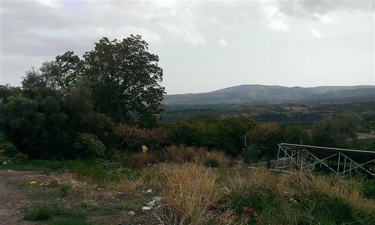 terreno agricolo in vendita a Francofonte