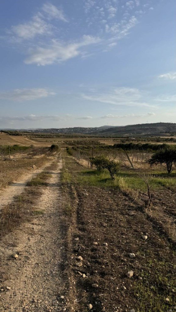 terreno agricolo in vendita a Lentini