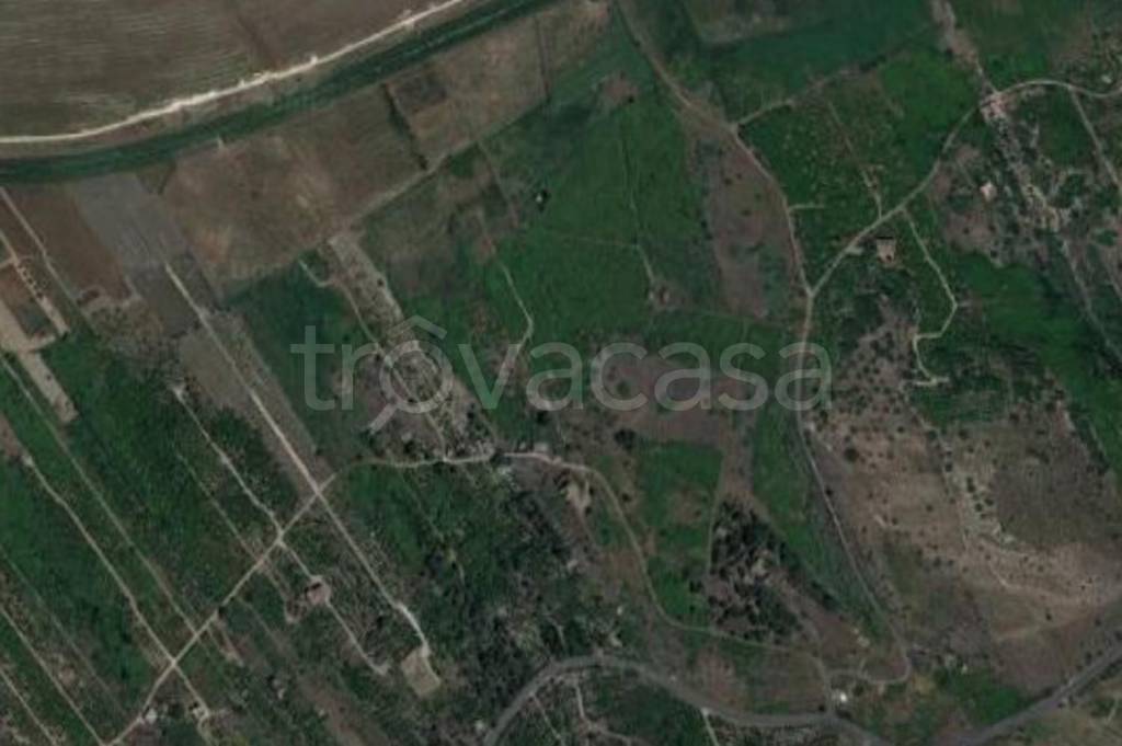 terreno agricolo in vendita a Lentini