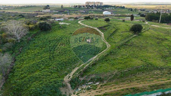terreno agricolo in vendita a Lentini