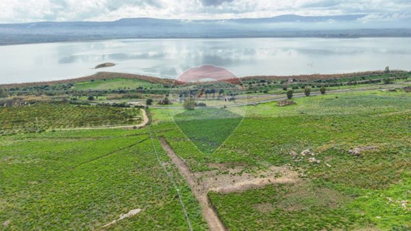 terreno agricolo in vendita a Lentini
