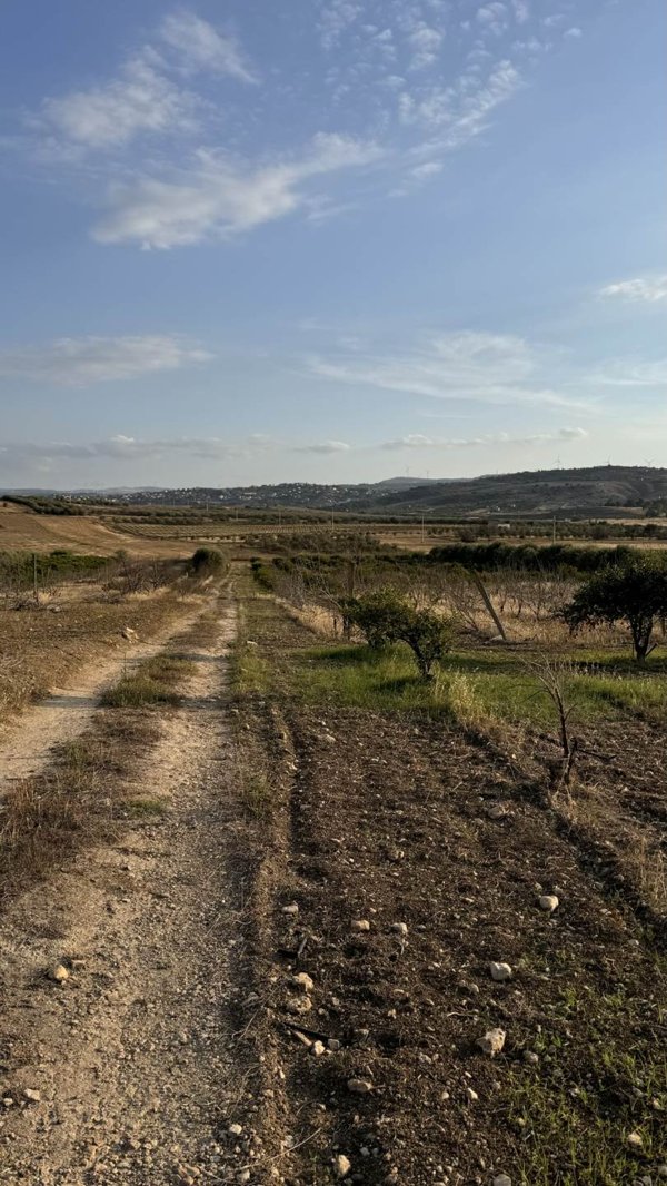 terreno agricolo in vendita a Lentini