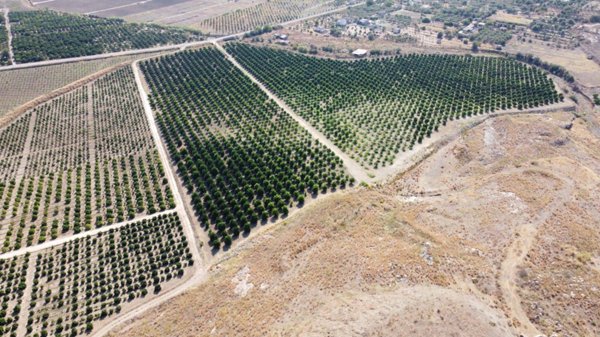 terreno agricolo in vendita a Lentini