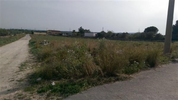 terreno agricolo in vendita a Lentini