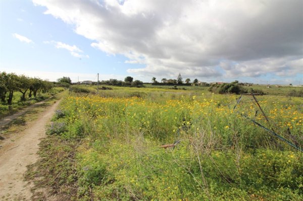 terreno agricolo in vendita a Lentini
