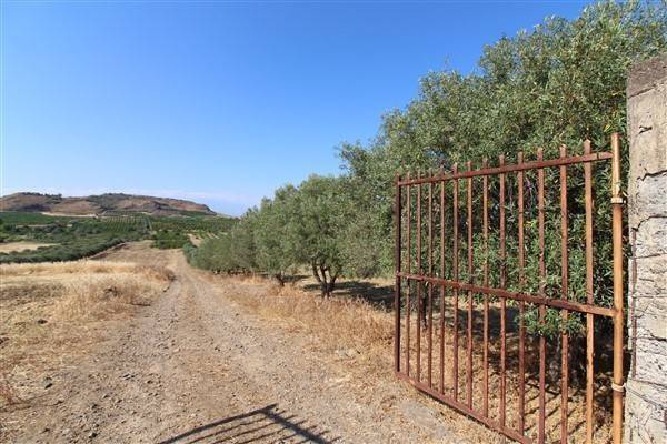 terreno agricolo in vendita a Lentini