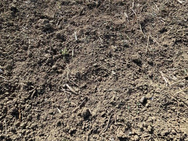 terreno agricolo in vendita a Lentini in zona Sigonella