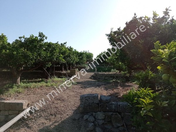 terreno agricolo in vendita a Lentini