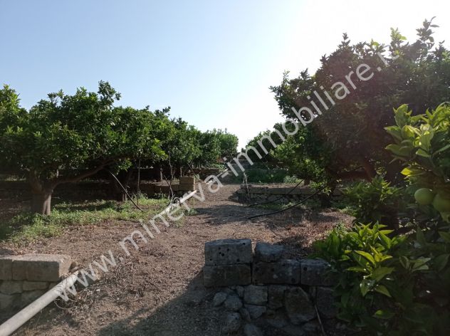 terreno agricolo in vendita a Lentini
