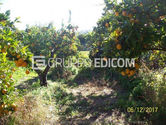 terreno agricolo in vendita a Lentini