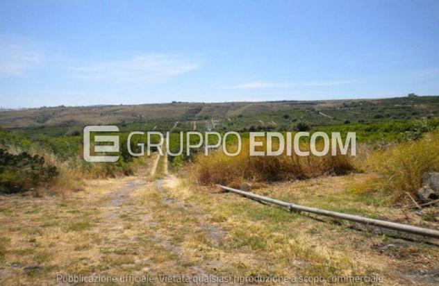 terreno agricolo in vendita a Lentini