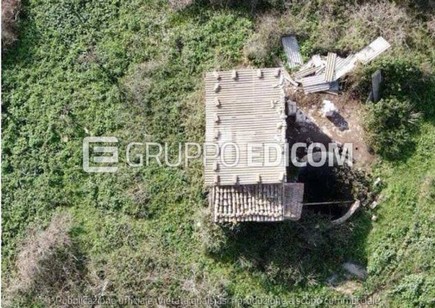 terreno agricolo in vendita a Lentini