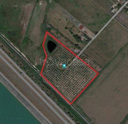 terreno agricolo in vendita a Lentini