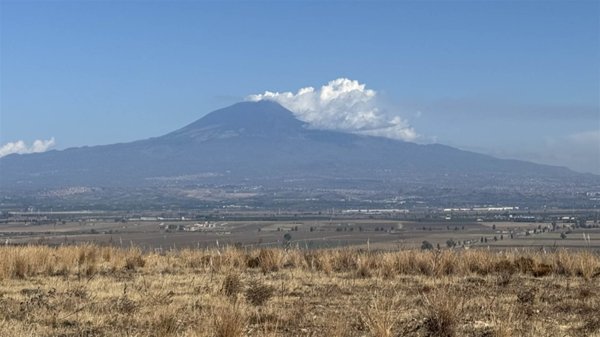 terreno agricolo in vendita a Lentini