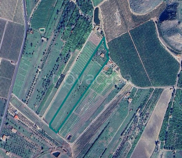 casa indipendente in vendita a Lentini