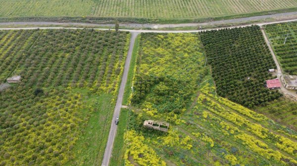 terreno agricolo in vendita a Lentini