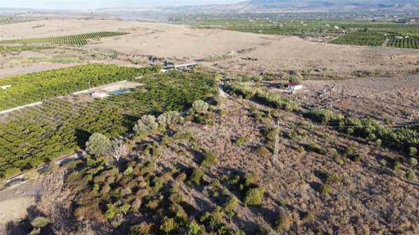 terreno agricolo in vendita a Lentini